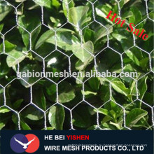 Хорошее качество гексагональной проволочной сетки из Китая